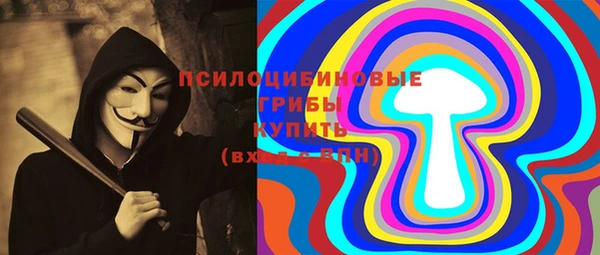 крисы Новокубанск