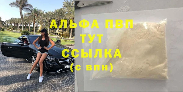 крисы Новокубанск