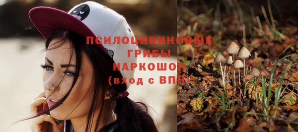 крисы Новокубанск