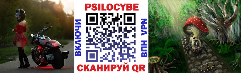 Псилоцибиновые грибы Psilocybine cubensis Теберда