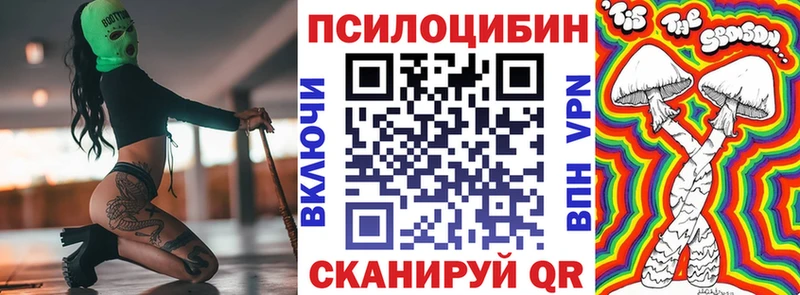 Псилоцибиновые грибы MAGIC MUSHROOMS  купить наркоту  Теберда 